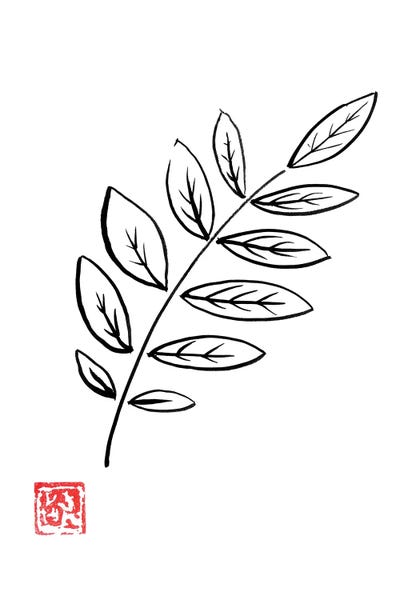 Black & White Florals: Laurel by Péchane