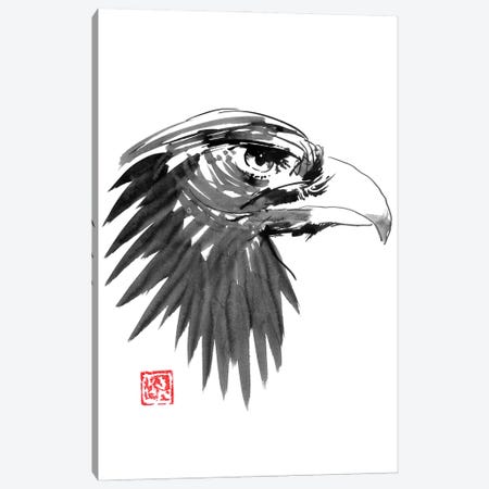 Eagle Eye Canvas Print #PCN363} by Péchane Canvas Art
