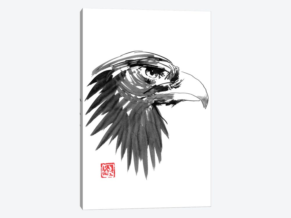 Eagle Eye by Péchane 1-piece Canvas Art Print