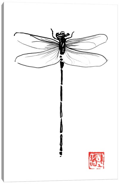 Dragonfly Canvas Art Print - Black, White & Red Art