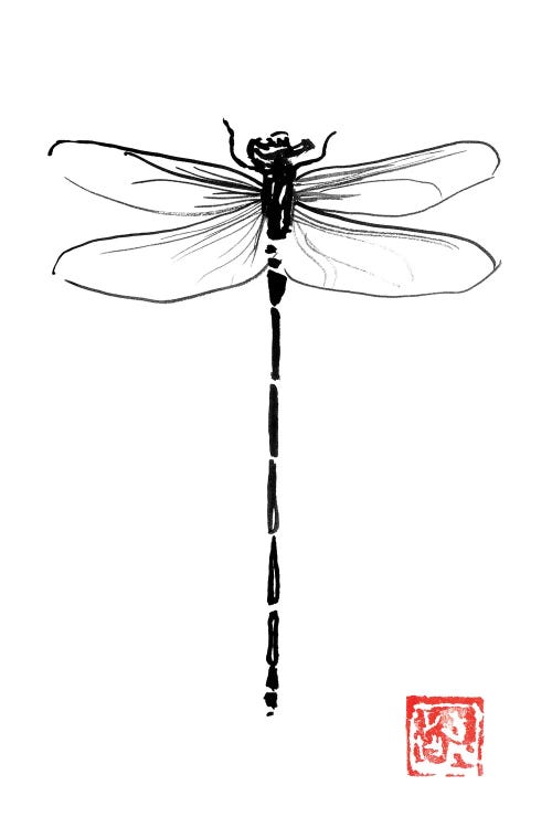 Dragonfly by Péchane wall art