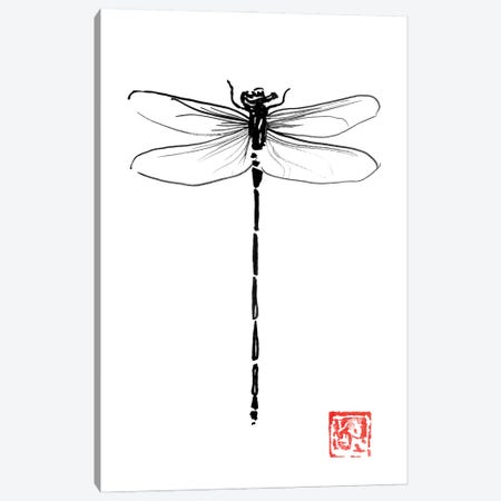 Dragonfly Canvas Print #PCN364} by Péchane Canvas Art Print