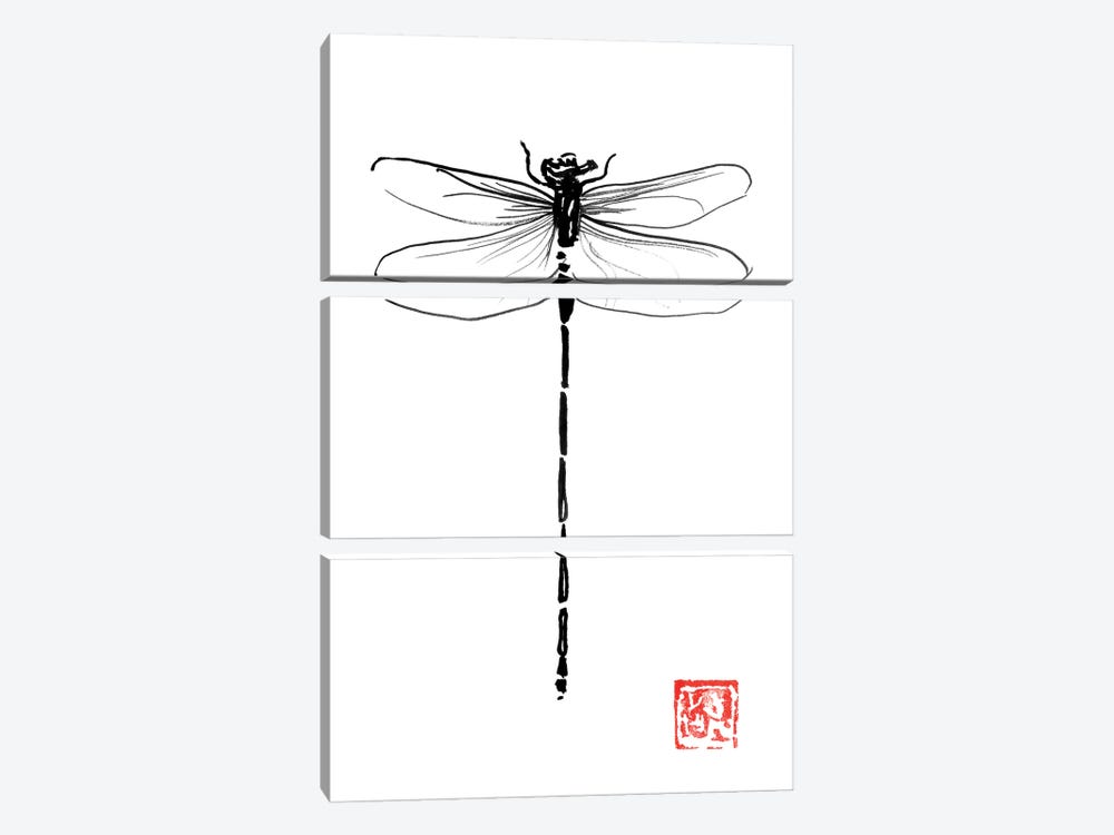 Dragonfly by Péchane 3-piece Canvas Artwork
