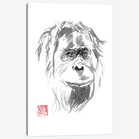Orangutan Smile Canvas Print #PCN368} by Péchane Canvas Art