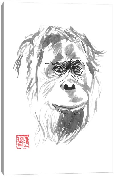 Orangutan Smile Canvas Art Print - Orangutans