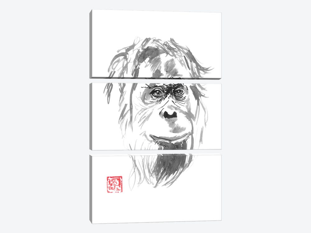 Orangutan Smile by Péchane 3-piece Canvas Art