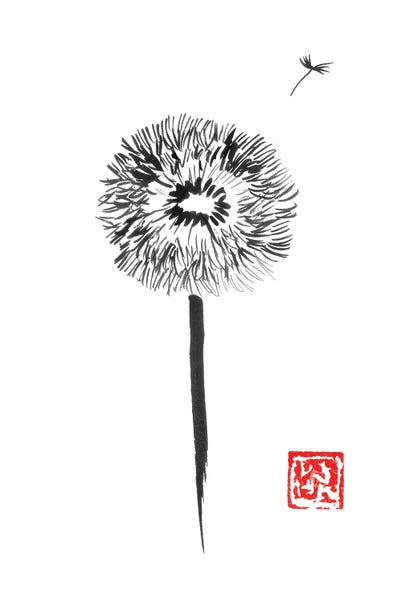 Dandelions: Dandelion by Péchane
