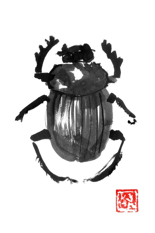 Beetle