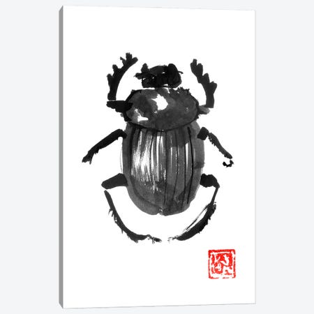 Beetle Canvas Print #PCN371} by Péchane Art Print