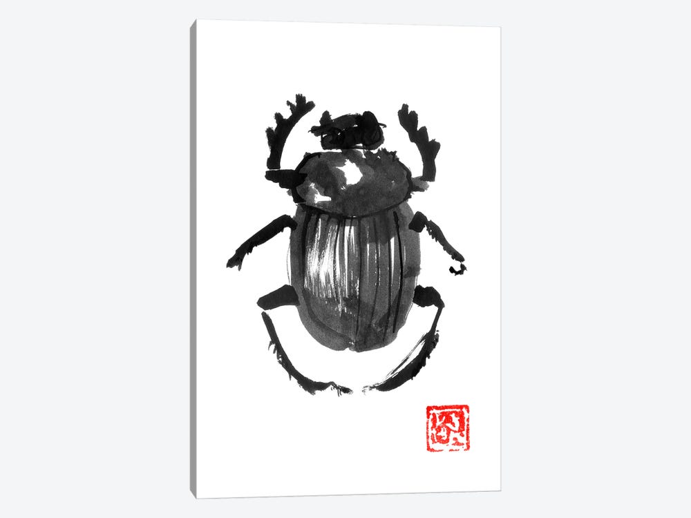 Beetle by Péchane 1-piece Canvas Art