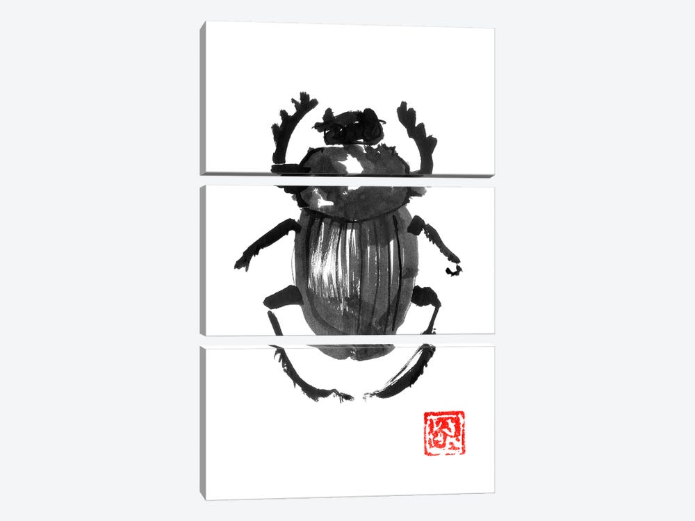 Beetle by Péchane 3-piece Canvas Artwork