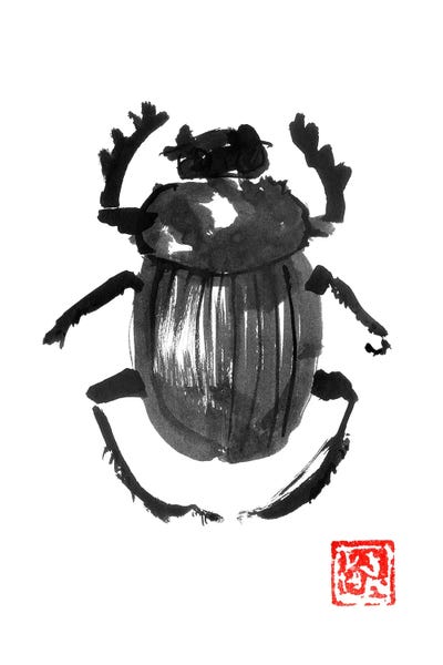 Beetles: Beetle by Péchane
