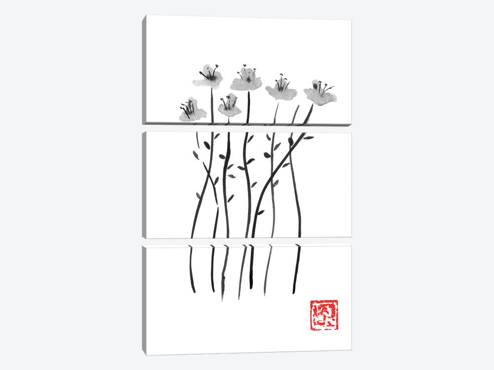 Sakura Lines by Péchane 3-piece Canvas Print