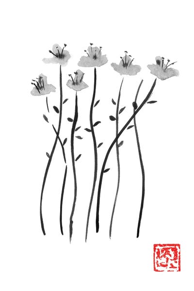Black & White Florals: Sakura Lines by Péchane