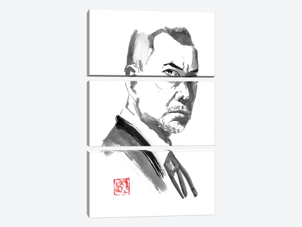 Anthony Wong by Péchane 3-piece Canvas Print
