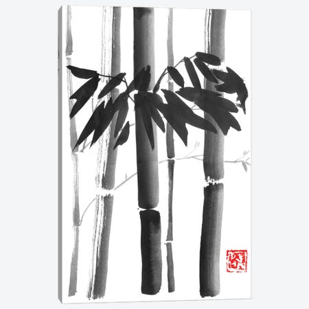 Bamboo Bouquet Canvas Print #PCN375} by Péchane Canvas Wall Art