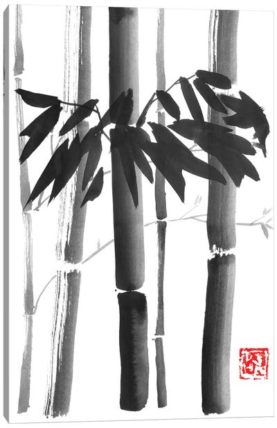 Bamboo Bouquet Canvas Art Print - Bamboo Art
