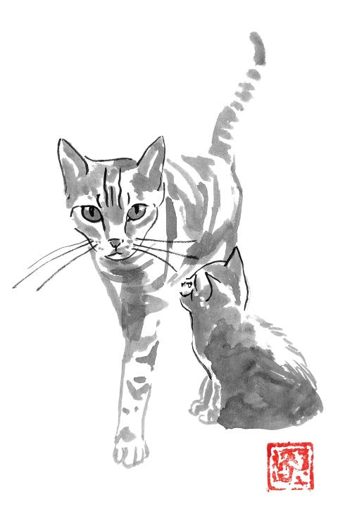 Cat And Mom