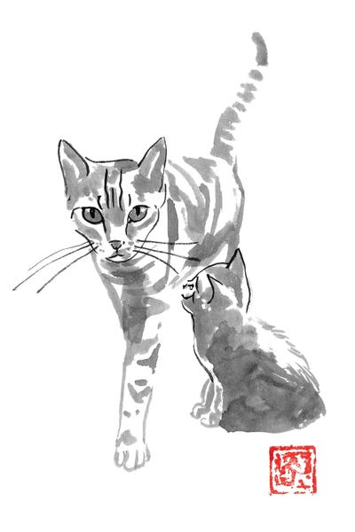 Cat And Mom