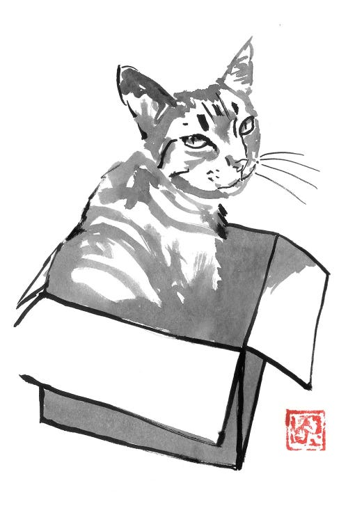 Cat In Box