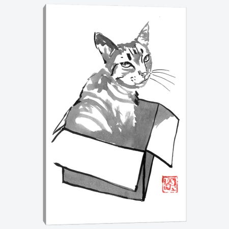 Cat In Box Canvas Print #PCN384} by Péchane Canvas Art Print