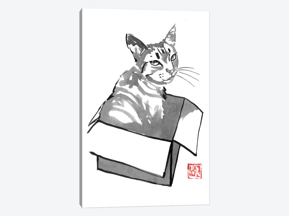 Cat In Box by Péchane 1-piece Canvas Artwork