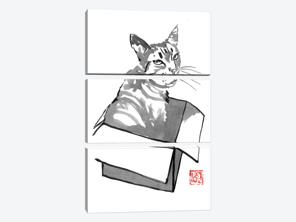 Cat In Box by Péchane 3-piece Canvas Artwork