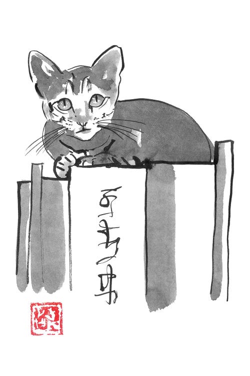 Cat On Books II