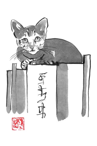 Cat On Books II