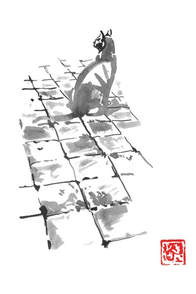 Cat On Pavement