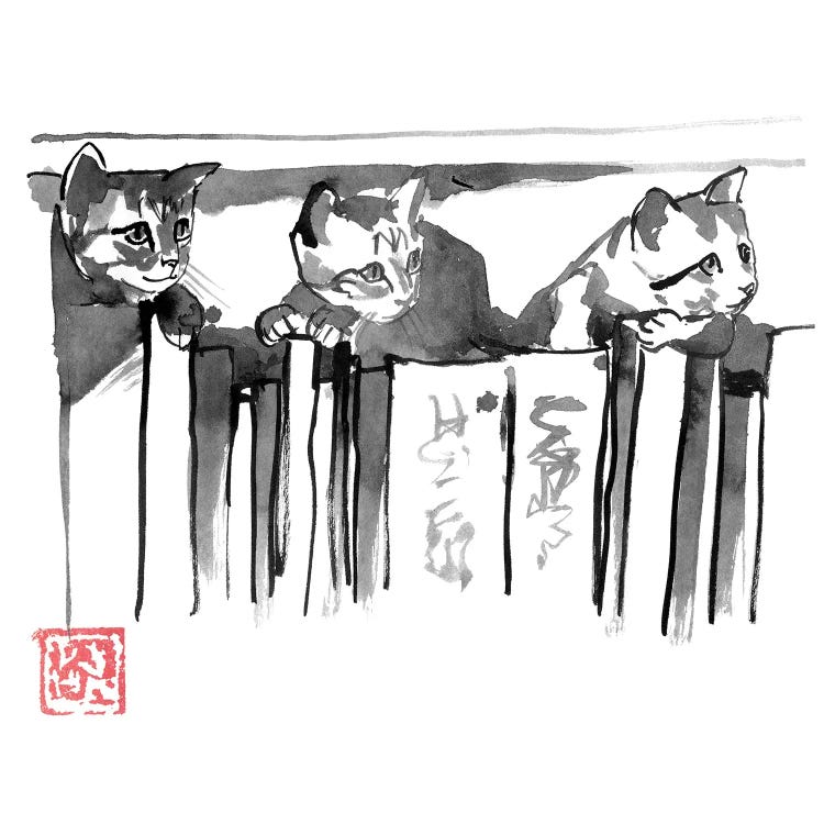 Cats In Library