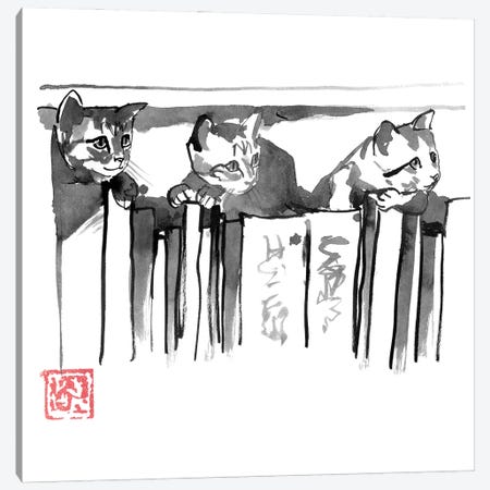 Cats In Library Canvas Print #PCN389} by Péchane Canvas Art