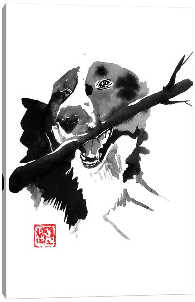 Dog Wood Canvas Art Print - Border Collie Art