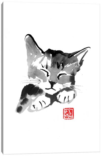 Cute Cat Canvas Art Print - Péchane