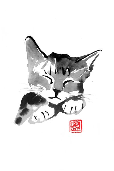 Black & White & Red: Cute Cat by Péchane