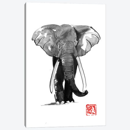 Elephant Canvas Print #PCN402} by Péchane Art Print