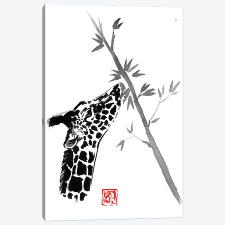 Giraffe Canvas Print #PCN409} by Péchane Canvas Print