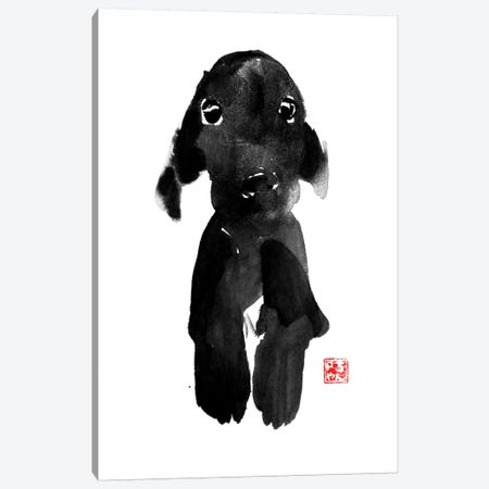 Cute Dog Canvas Print #PCN40} by Péchane Canvas Print