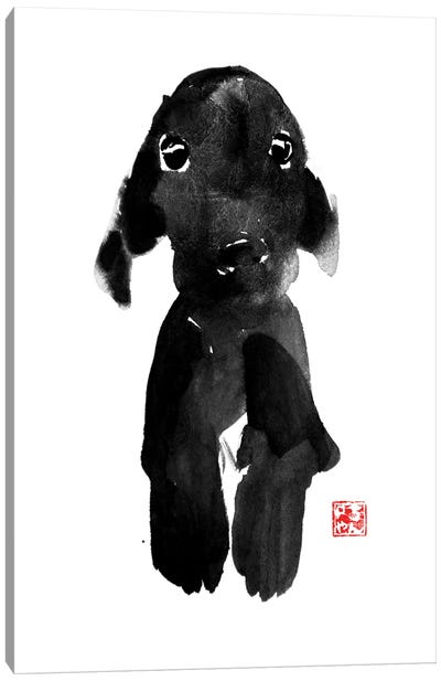 Cute Dog Canvas Art Print - Péchane