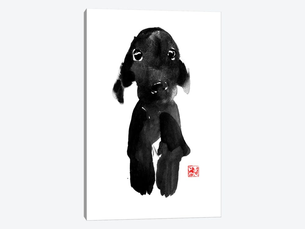 Cute Dog by Péchane 1-piece Canvas Art Print