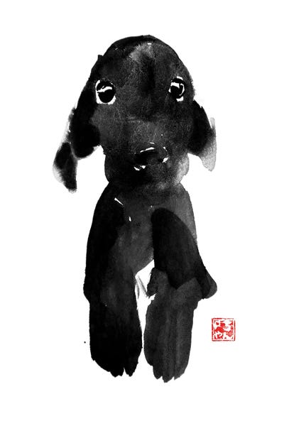 Black & White & Red: Cute Dog by Péchane