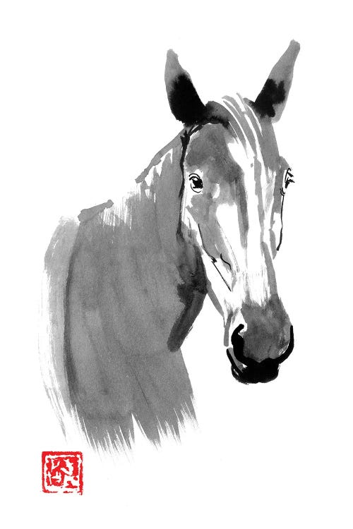 Horse Head
