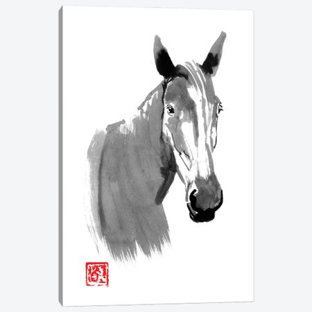 Horse Head Canvas Print #PCN413} by Péchane Canvas Artwork