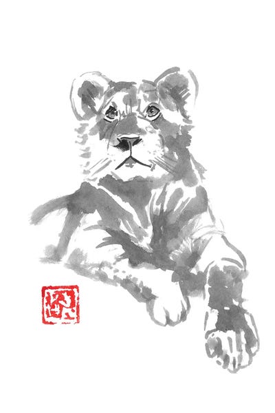 Lion Femaile