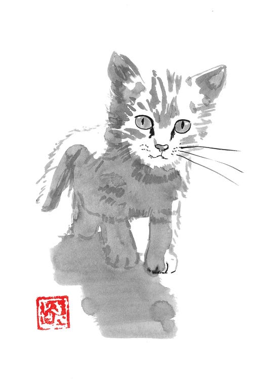 Little Cat