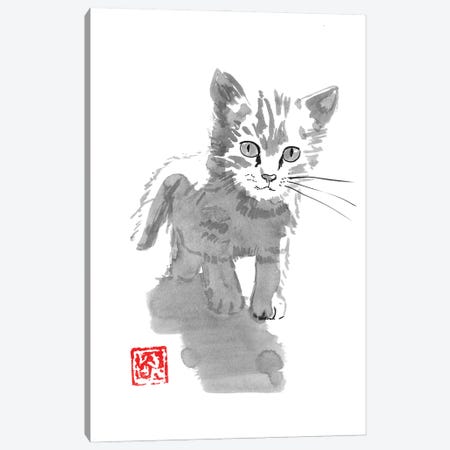 Little Cat Canvas Print #PCN420} by Péchane Canvas Print