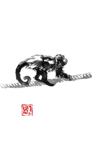 Monkeys: Monkey On The Rope by Péchane