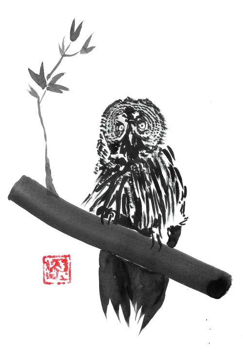Owl by Péchane wall art