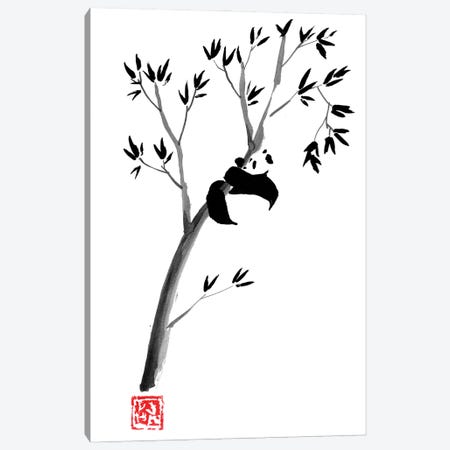 Panda In The Tree Canvas Print #PCN424} by Péchane Canvas Artwork