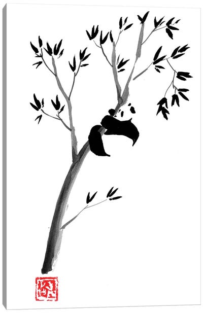 Panda In The Tree Canvas Art Print - Bamboo Art